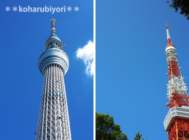 スカイツリーと東京タワー