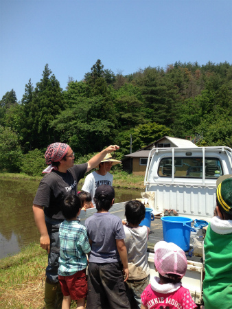 田植え体験　新潟